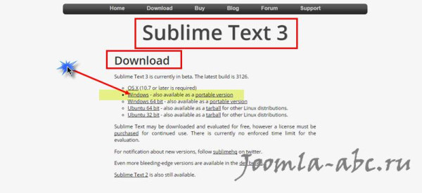 Sublime Text downloads